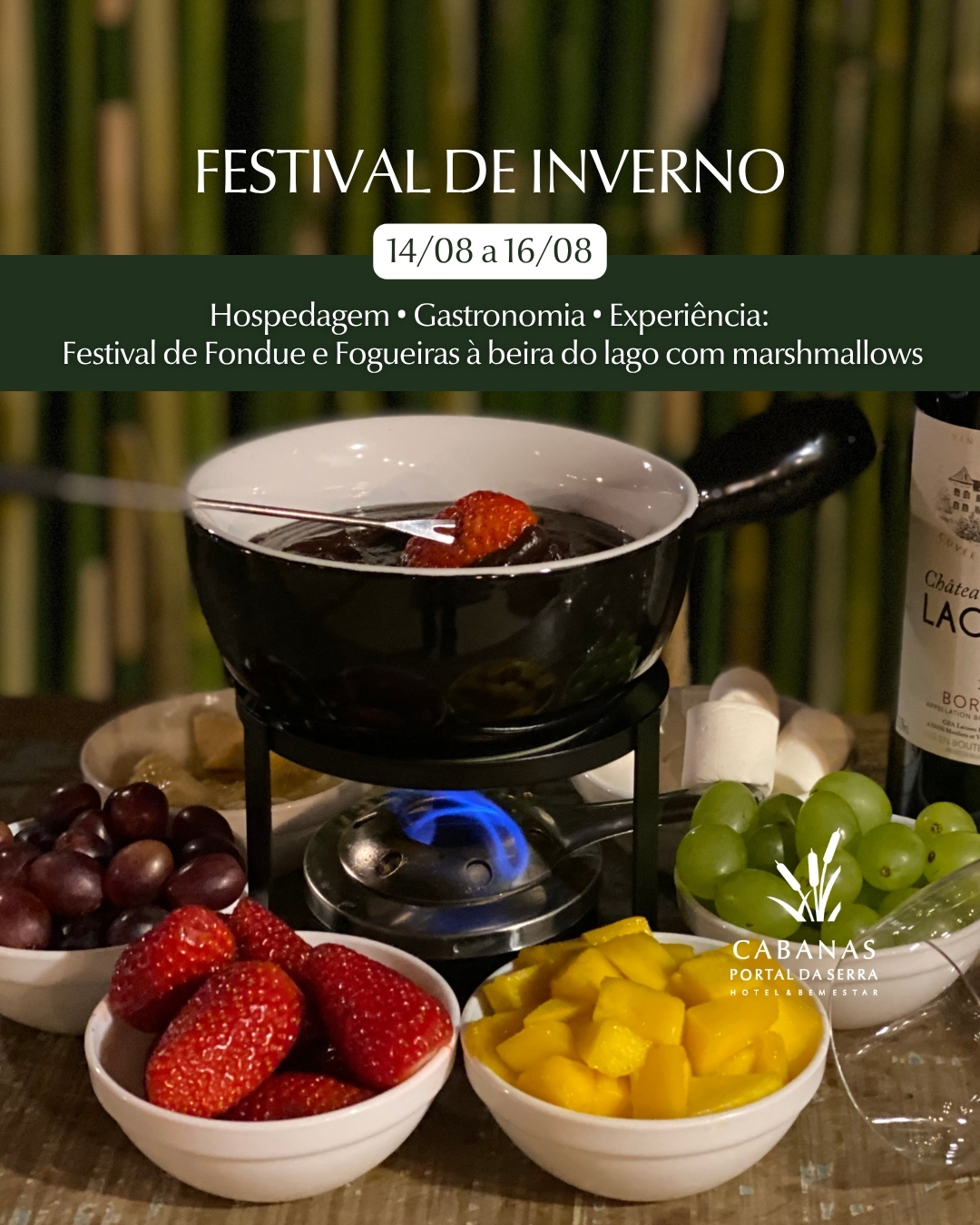 Festival de Inverno