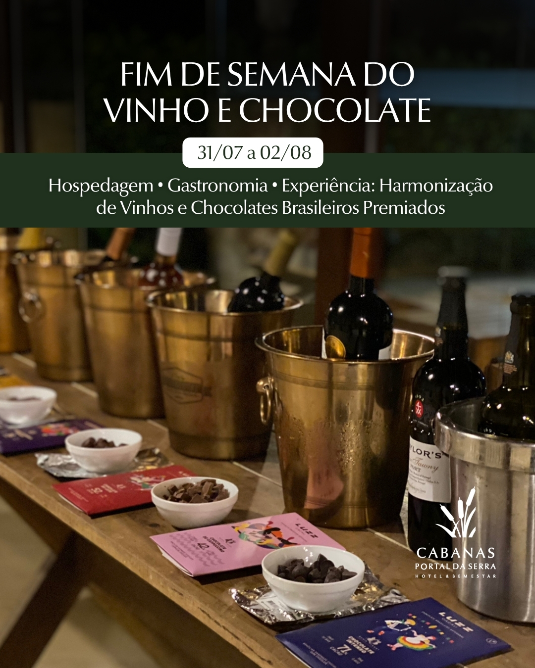 Harmonização de Vinhos & Chocolates Brasileiros