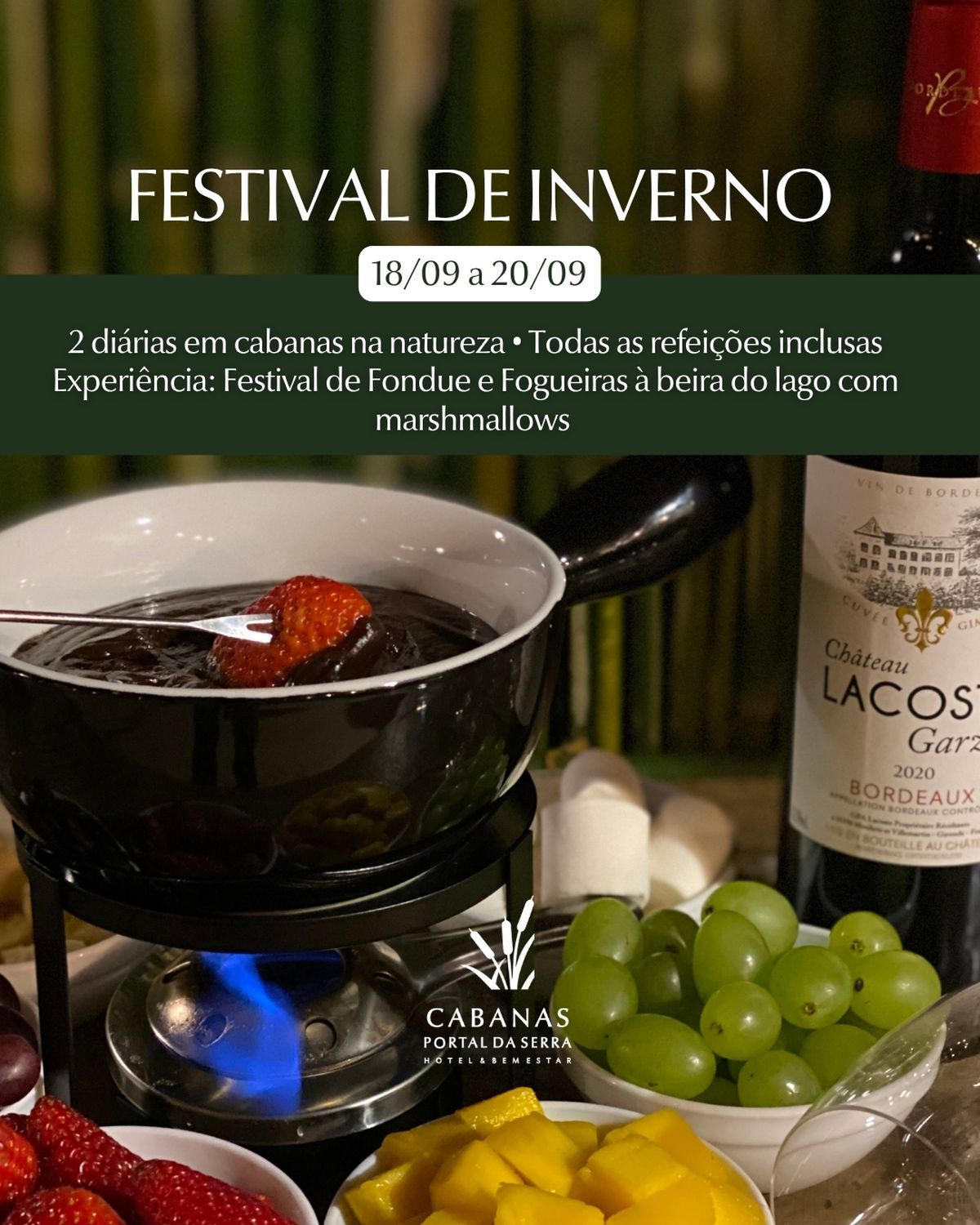 Festival de Inverno